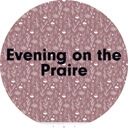 Evening on the Prairie