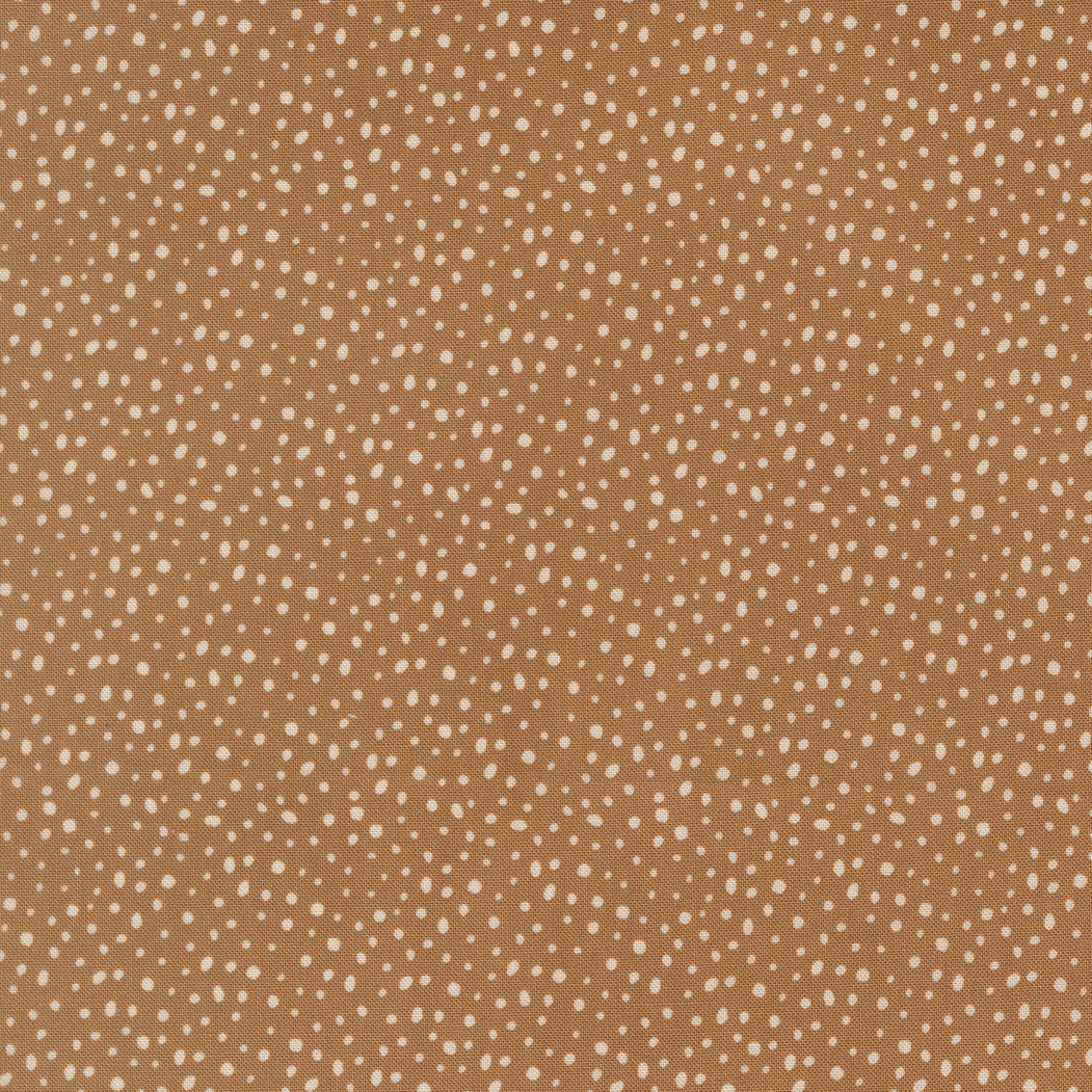 26158 22.jpg