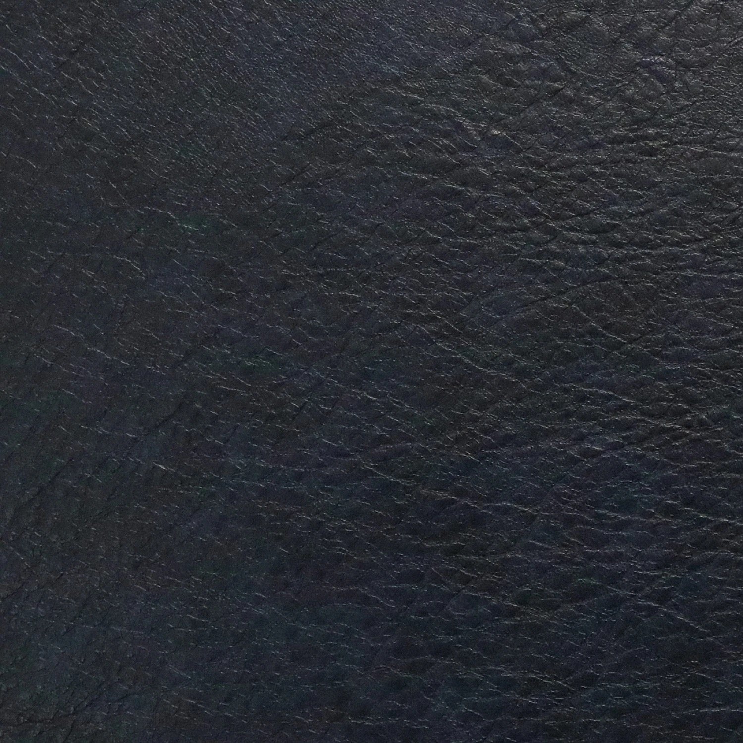 HFLL1818.jpg.jpg