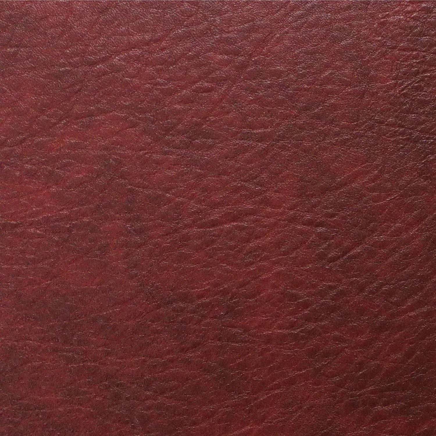 HFLL1406.jpg.jpg