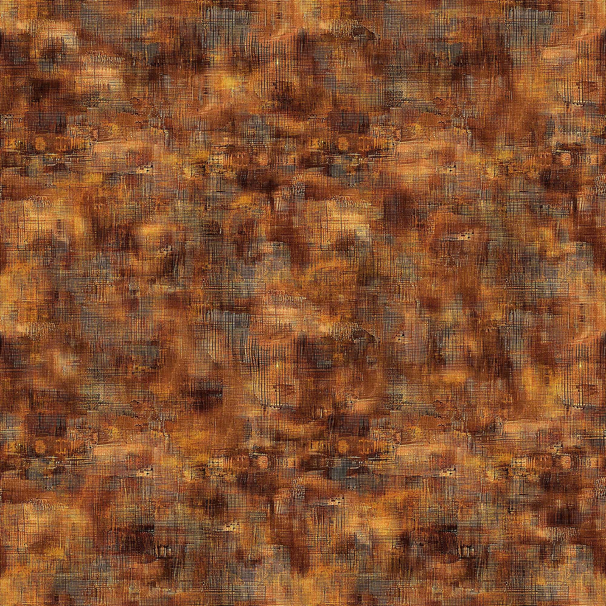 31679 AS.jpg