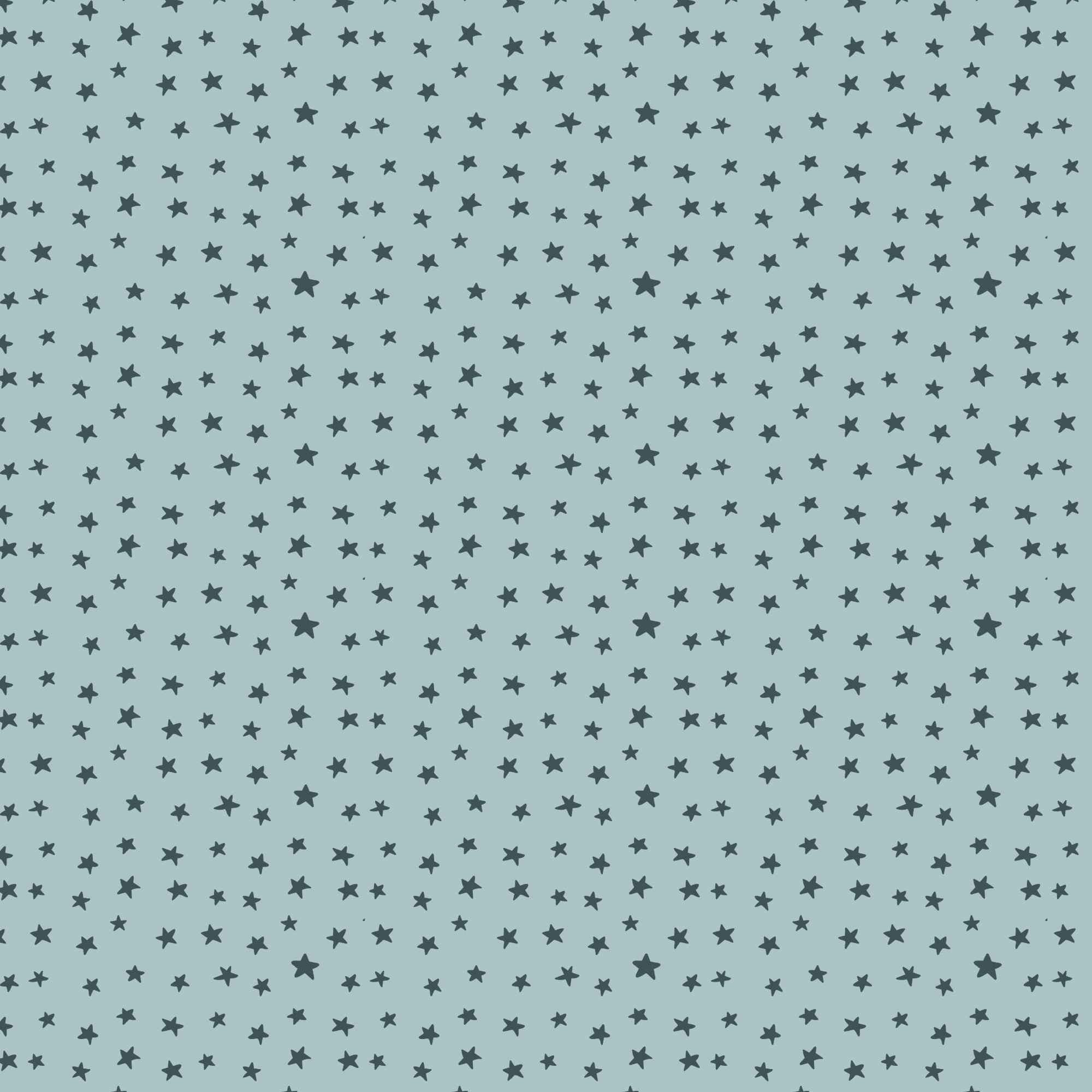 229554.jpg