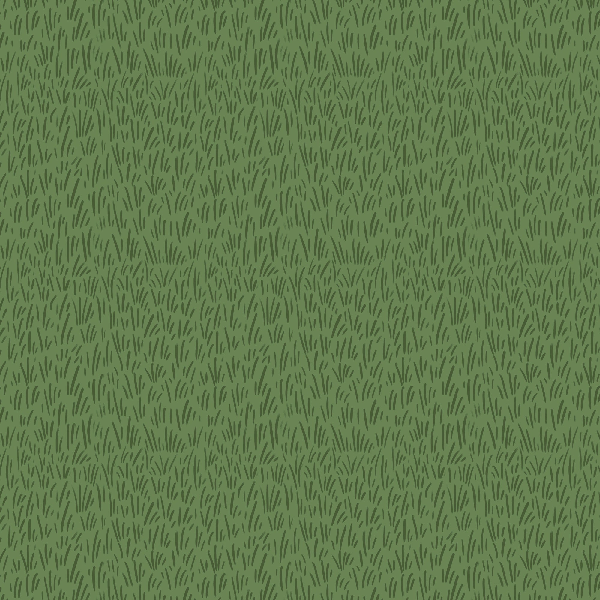 229545.jpg