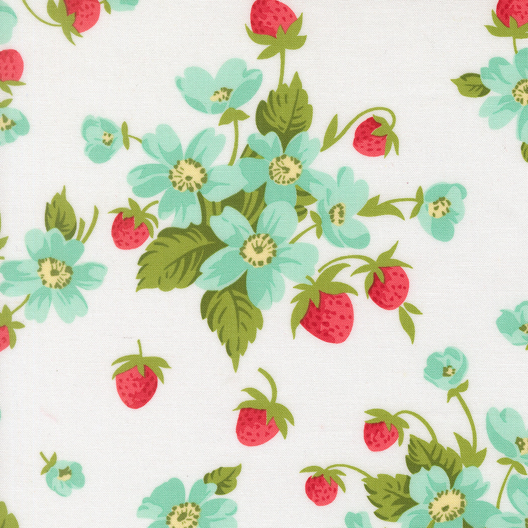 Bloomsberry 55350-11