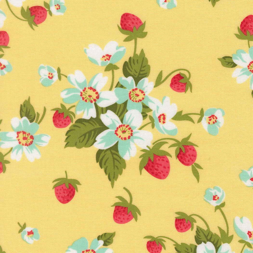 Bloomsberry 55350-12
