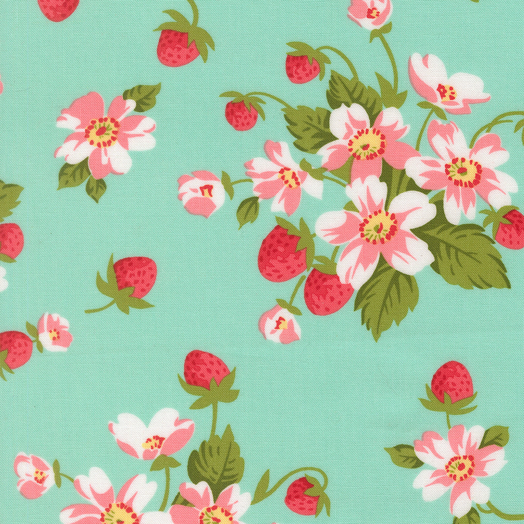 Bloomsberry 55350-13