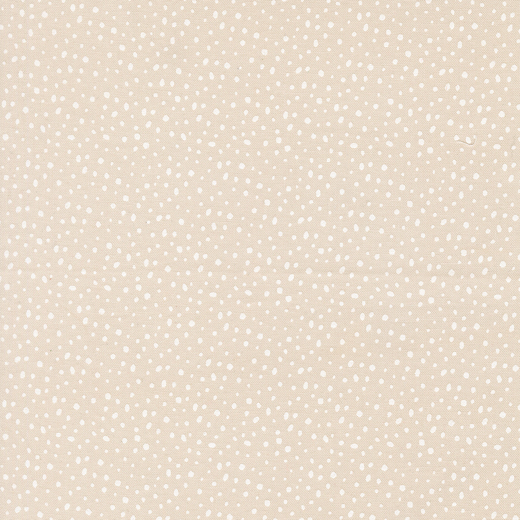 26158 11.jpg