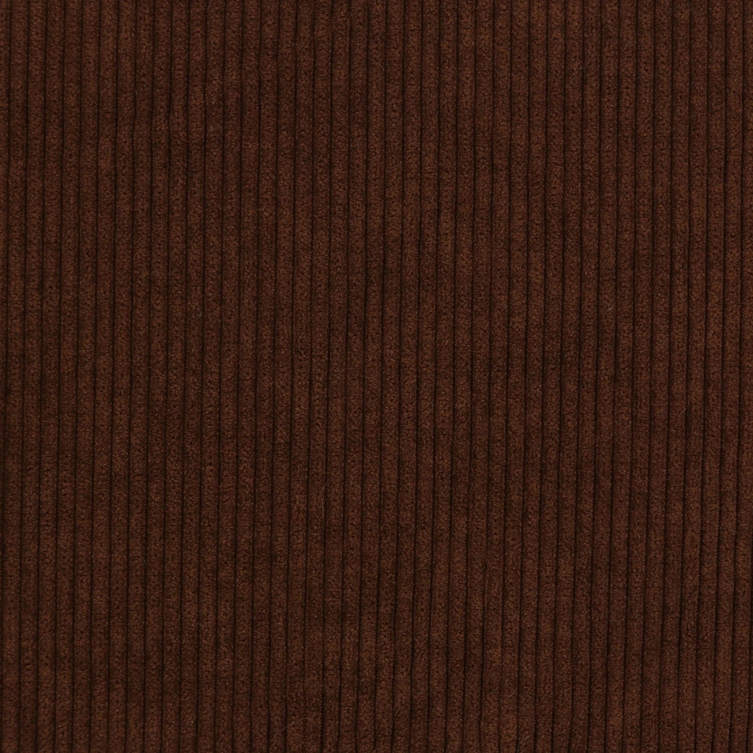 KDKB1326.jpg.jpg