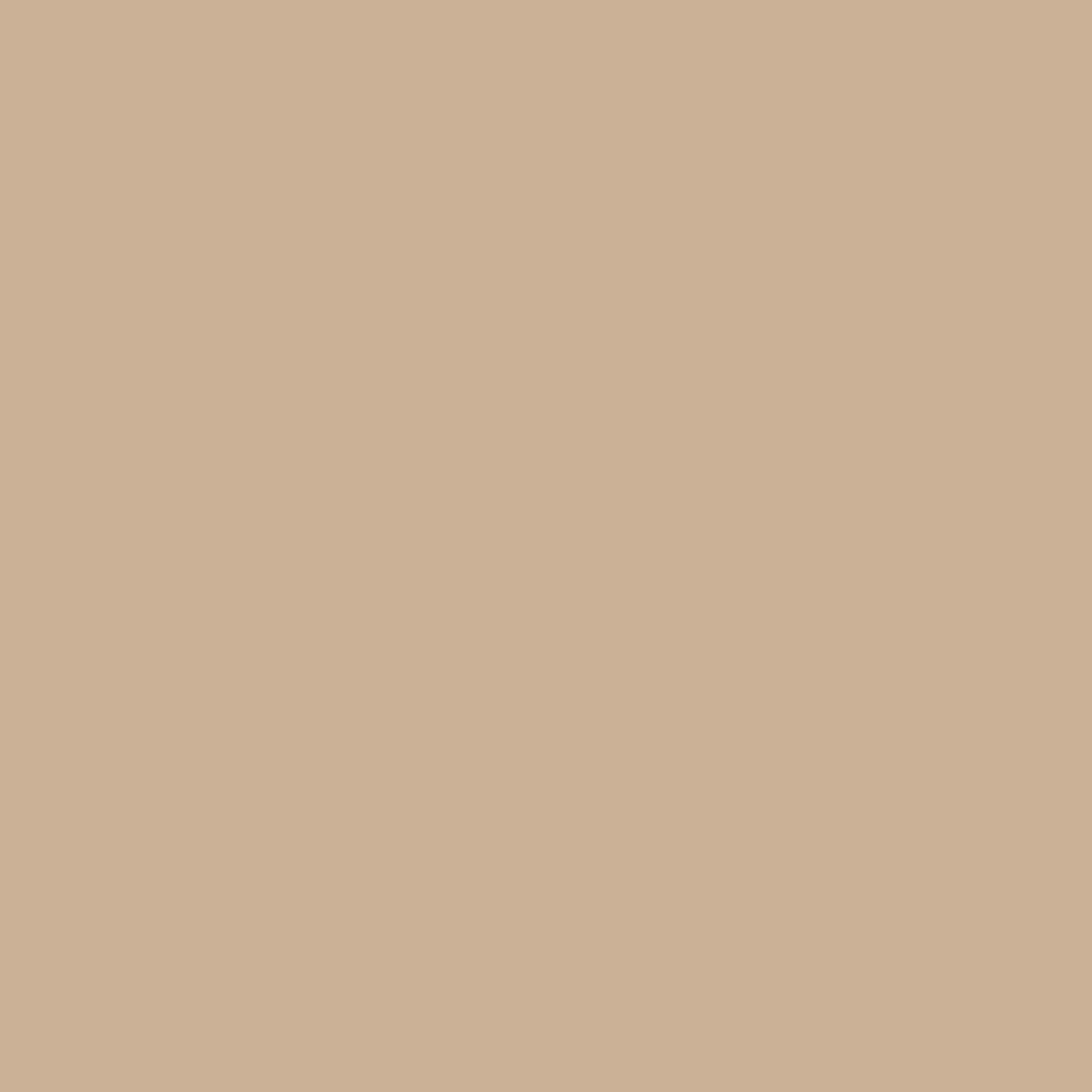 C120-CAPPUCCINO.jpg.jpg