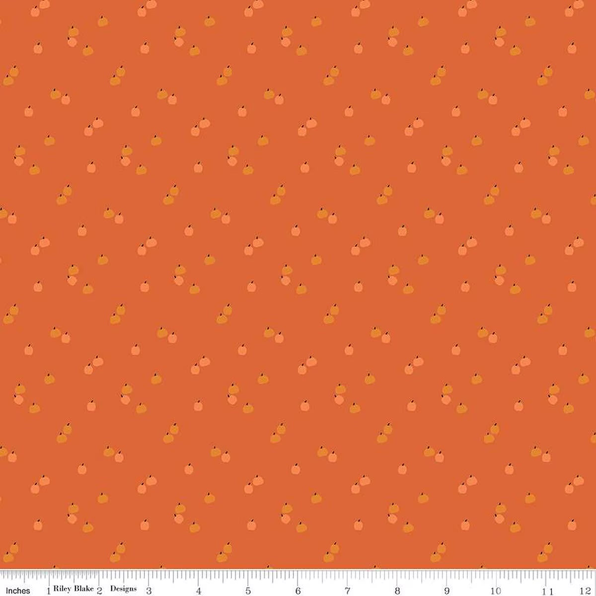 C652-ORANGE_media-1.jpg.jpg