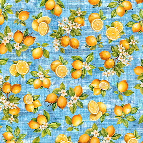 31714 B_l.jpg