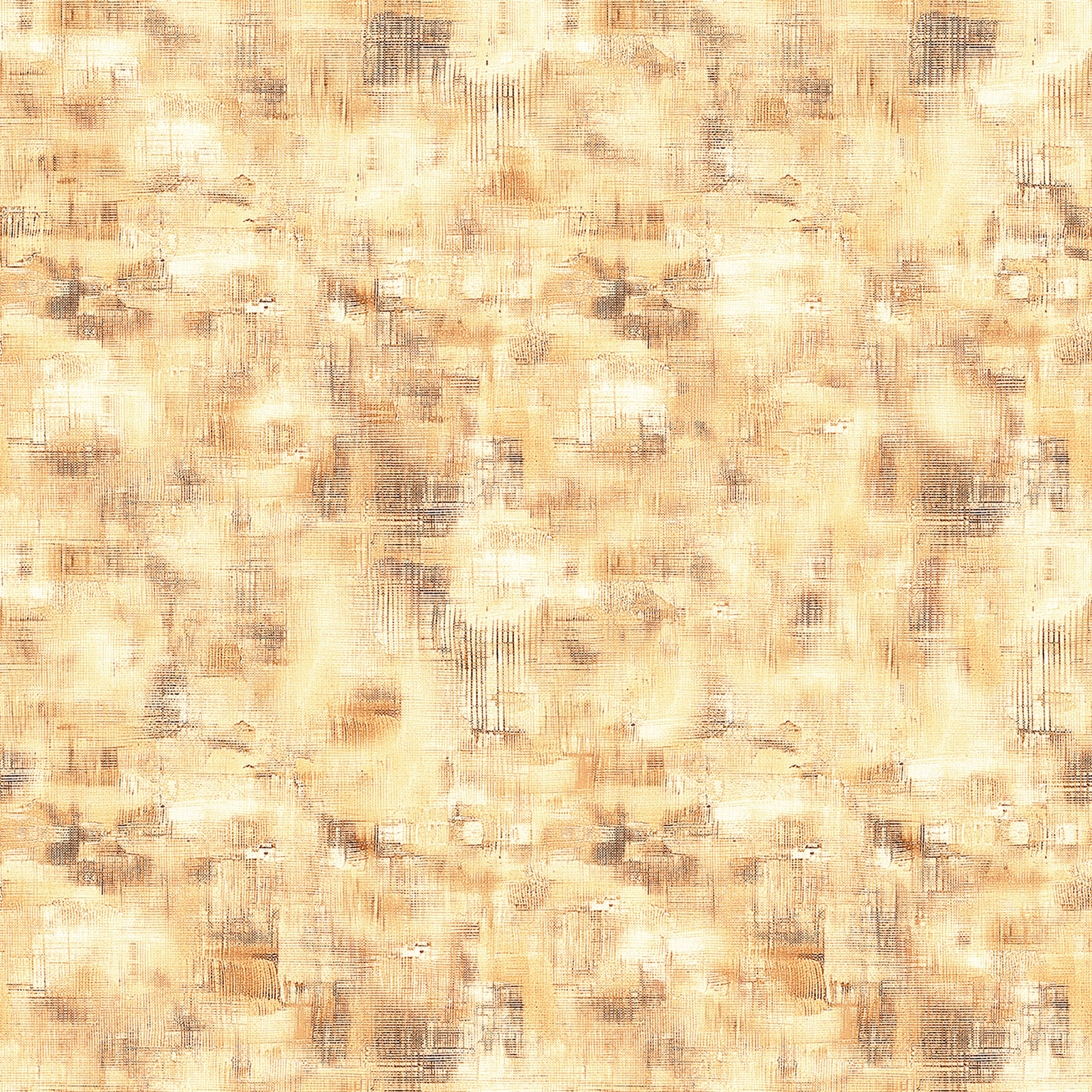 31679 A.jpg