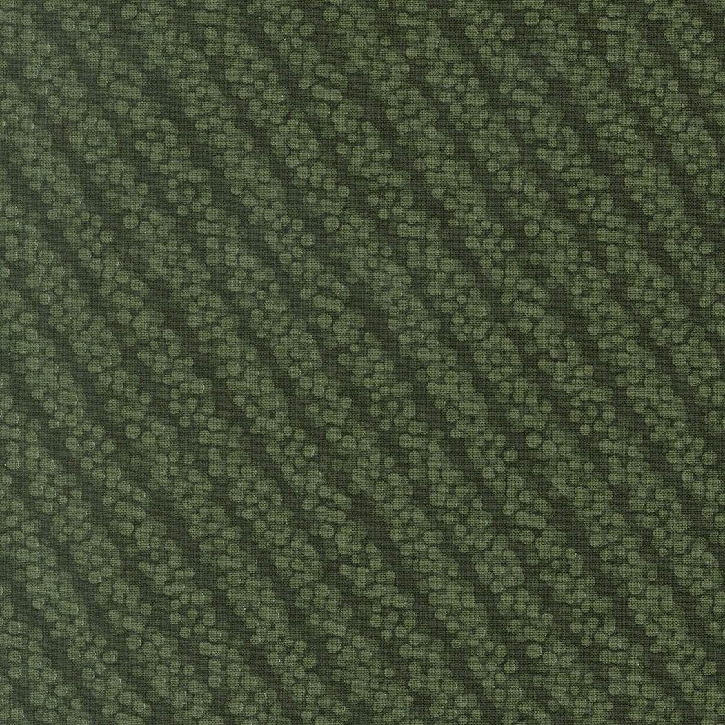26156 16.jpg