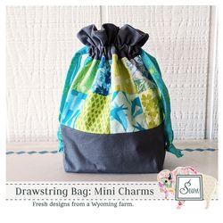 Drawstring Bag: Mini Charms