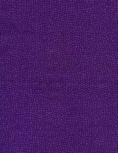 Blockbuster Purple