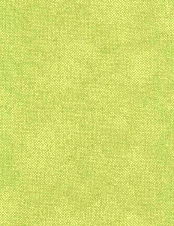 Surface Texture Lime